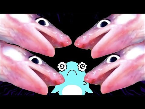 【深海魚のアニメ】深海の生き物の漁師体験をするサメニンジャー！