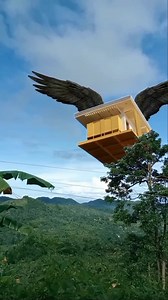 cr mulopad mao diay mahal #project #flying #Barangay #cr7 | IDOL SIDZ