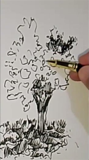 How to Draw a Tree with Ink Pen