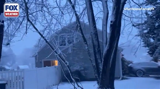 FALLING BRANCHES 🪾: Gusty winds and heavy snow knock down tree branches along the Jersey Shore as a crippling storm begins. The FOX Forecast Center says this will be one of the worst snowstorms to hit the I-95 corridor in years. | FOX Weather