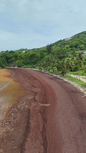 30K views · 222 reactions | Playa Lucía en Yabucoa cubierta de sargazo : #tiratepr #yabucoa | Tíratepr | Facebook
