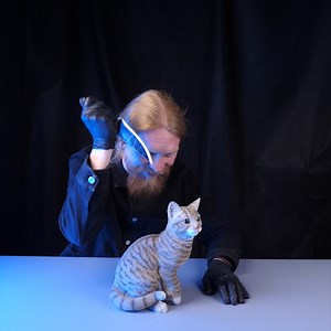 5.8M views · 8.3K reactions | Pet Collars | Crafty Panda How | Facebook