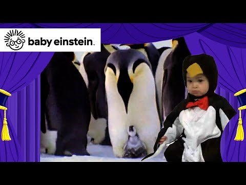 My First Animal Adventure | New Baby Einstein Classics | Toddlers Learning | Kids Music & Cartoons