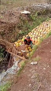 #reels #facts #science #knowledge #factsonly | fact fast