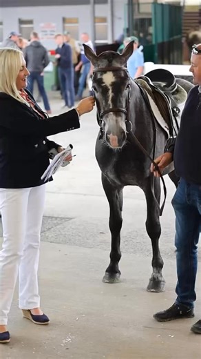 Siobhan caught up with Andrew Byrne who produced Lot 163 which sold yesterday at Day 1 of the sale. Andrew had help from Darragh Byrne and students from Gurteen College. Our September International Sale is here from the 2nd to 5th and 8th to 10th of September with over 1,300 horses and ponies on offer from leisure to competition there is something for all abilities.🐴📆September 2nd - 5th and 8th - 10th ⏰ Performance 9:30 | Auction 10:30📍Goresbridge Horse Sales ComplexAuction and Photo Gallery 