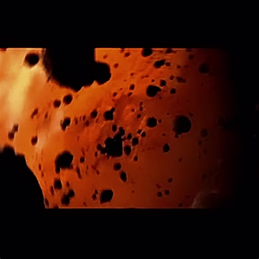 newbornlover on TikTok