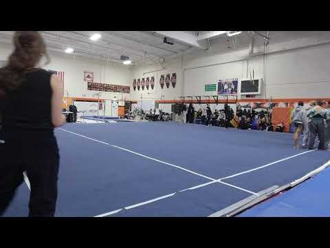 Libertyville Girls Gymnastics vs. Stevenson