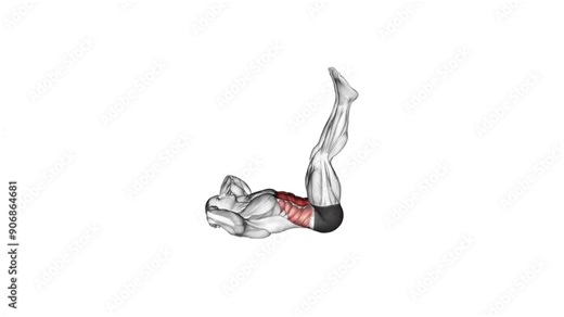 straight leg crunch anatomy exercise motion graphic muscle highlight workout fitness illustration video uhd 4k 60 fps