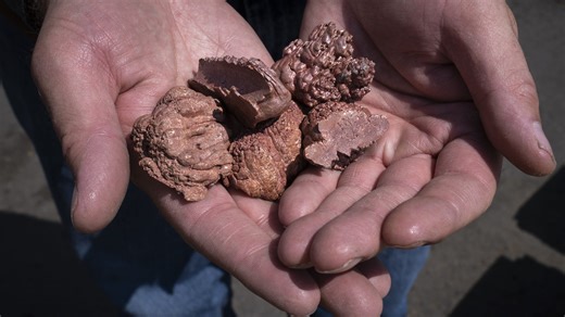 'C' is for copper: If it isn't still king, it remains a royal growth industry in Arizona