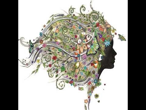 Springsteen, Storytelling, And Starting Again with Anne Abel