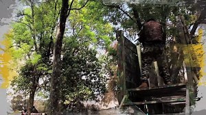 36K views · 309 reactions | En Gotcha Osos pasaras un día lleno lleno de mucha diversión Llámanos al 36249995. Nuestro Horario es de Lunes a Domingo de 10:00 a 17:00 Hrs. (excepto jueves) www.gotchaosos.com | GOTCHA OSOS | Facebook