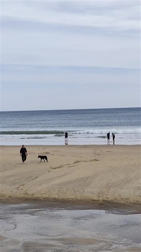 Videos de sur (@sur_food) con “sonido original - 𝘿𝙅 𝙊𝙈𝘼𝙍 𝘿𝙓”