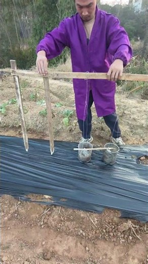 Vegetable garden mulching hole-making technique