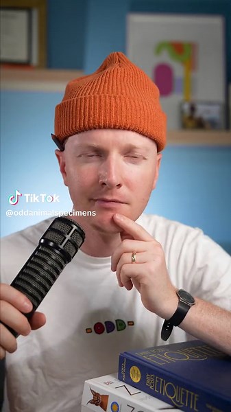 Did you get it right? Should I post more skull breakdowns? What animal is this? Here is a skull analysis and identification where we identify a small mammal skull based on its shape. #animals #science #learnontiktok Specimen use made possible by the University of Michigan