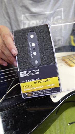 14K views · 130 reactions | When our friend Emerson from Trying to Guitar was looking for a new, more versatile single-coil P-Bass pickup for her Squier, we recommended our Quarter Pound™ Single Coil P-Bass. We think the mod sounds great, and are so glad that she's loving her new pickup! #SeymourDuncan | Seymour Duncan | Facebook