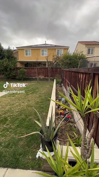 One of our favorite parts of the new #pool was setting up a #projector #screen to watch #movies while swimming. Of course we have to demo with #disney #pixar #findingnemo. Will post more videos showing the progress.