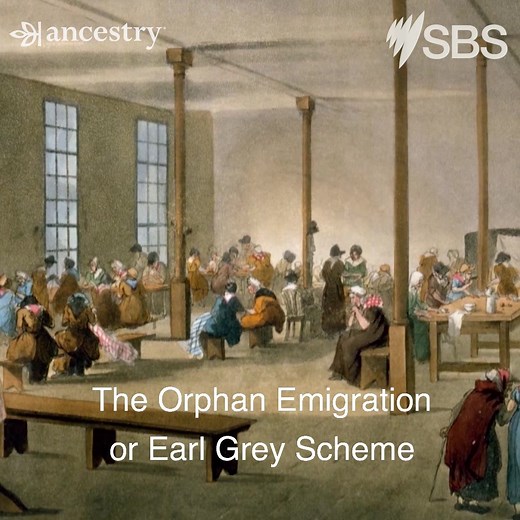 Actor Rodger Corser rose to fame for his roles in the award-winning crime series Underbelly and the critically-acclaimed Glitch, and for the series lead on Doctor, Doctor. But while Rodger is comfortable donning the mask of a character, exploring his own identity is a little more daunting. | SBS Australia