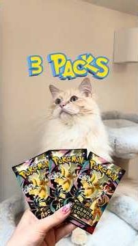 Cat Pokémon Battle EP 61 🧄🧂🌶️