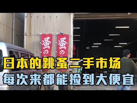 日本的跳蚤二手市场简直太香了，我们每次来都能捡到大便宜！【打工夫妻在日本】