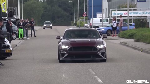 Ford Mustang 5.0 V8 GT Performance – Epic Burnout & Roaring Sound! 🔥🎶