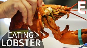 590K views · 5.8K reactions | Dealing with a whole lobster is an essential summer skill | Eater | Facebook