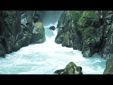 more more river in the Philippines nice nice view #satisfying #trending #viral