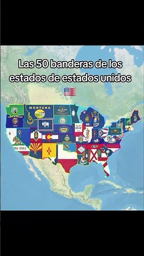 The 50 state flags of the United States 🇺🇲