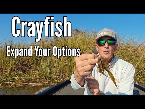 Creative Crayfish Riggs-Expand Your Options.