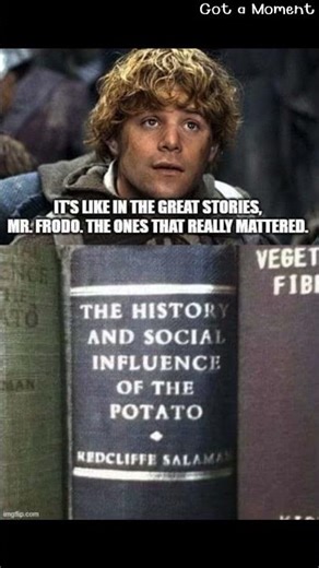 Samwise Gamgee's Favorite Book (a real page turner) #lotrmemes #funnymemes #shorts