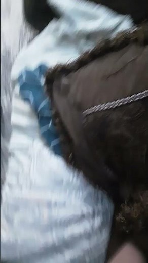 carnage count part 2