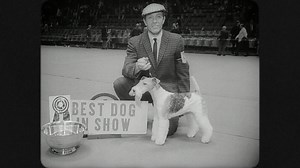 Building trust with your four-legged family members means having prize-winning protection from AKC Pet Insurance  Get your pet's quote: https://bit.ly/3PGvsmI #AKCPetInsurance #PetInsurance #PetHealth #PetCare #PetParents | AKC Pet Insurance | Facebook