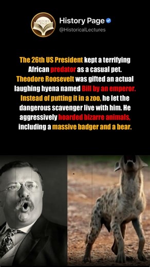 Teddy Roosevelt's Wild Pet Collection: Predators Roaming the White House!