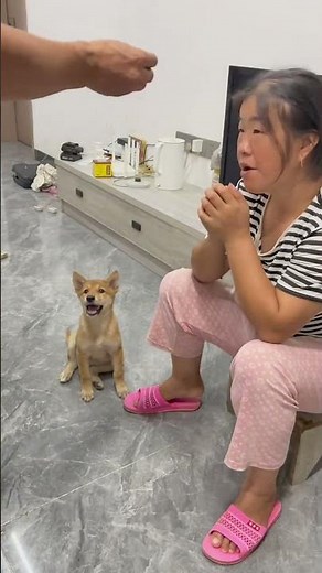 This method is really good. It only takes one minute to train the puppy to bark.