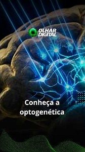 Nobel Prize in Medicine: How an alga helped scientists create a "switch" for the brain