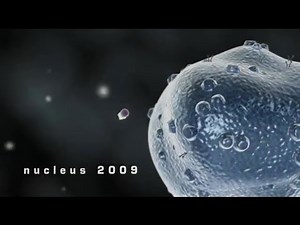AMAZING: Nucleus Animation Demo Reel (2009)