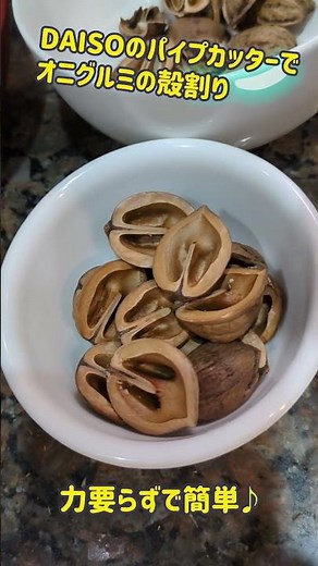 くるみ鬼胡桃(オニグルミ)の殻割り。DAISOのパイプカッター。力要らずで簡単