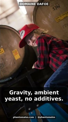 Domaine Dafoe: Where Laziness Meets Mastery #Shorts