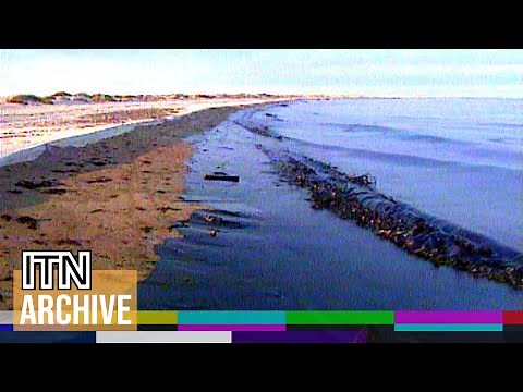 1991: Gulf War: Persian Gulf Oil Spill