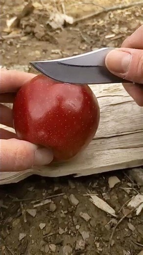 Why Apples Have a Wax Coating