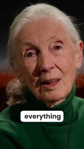 Jane Goodall’s Powerful Final Message About Our Connection to Nature 🌍