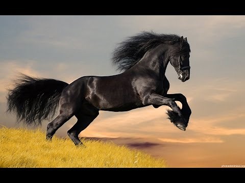 The last of the Mohicans. Piano cover