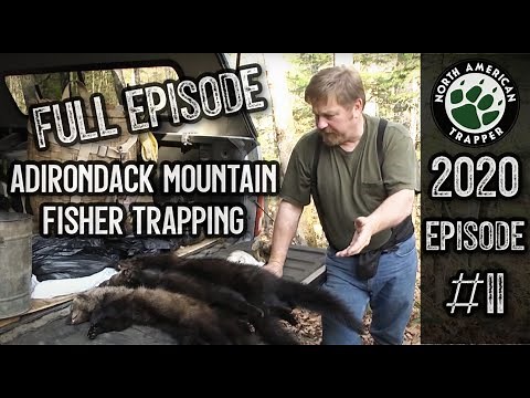 2020 Episode #11 ~ Adirondack Mountain Fisher Trapping