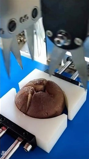 Cake production #cake