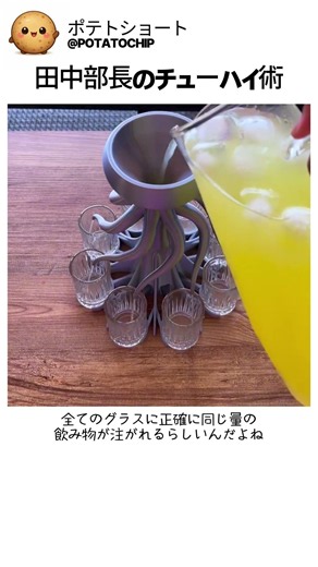 キャベツに本気な日本の梱包術