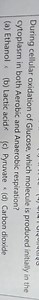 During cellular oxidation of Glucose, which molecule is produce... | Filo