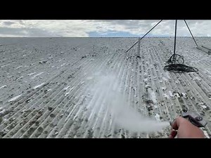 Colorbond Moss Treatment & Soft Washing | Safe, Effective Roof Cleaning