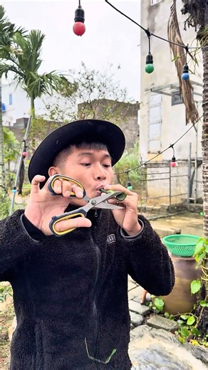 Level Up My Trumpet Skills – Can You Handle This Sound? 😛 #musicianlife #funnyvideo #comedy