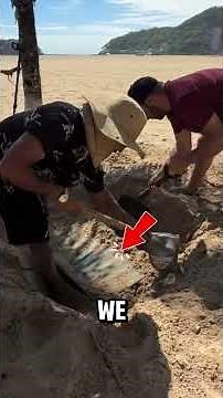 Craziest Beach Metal Detector Find EVER! 🏖️📦