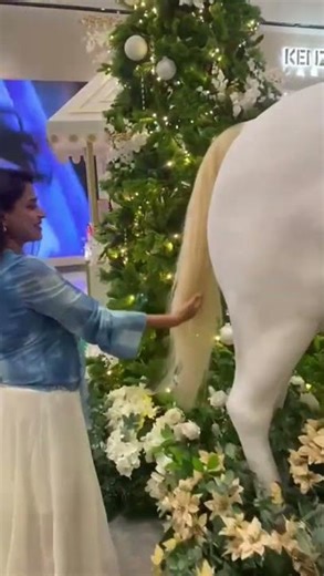 Ekkebare real ghora mone hochhilo😅kach theke na dekhle bujha jabe na je kotota shundor❤️