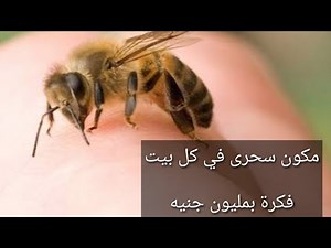 (اول مرة على اليوتيوب) ازاى تعالجى قرصة / لدغة النحل او الدبور فى الحال بدون تورم او إلتهاب